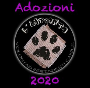 ADOZIONI CANI 2020 SECONDA PARTE